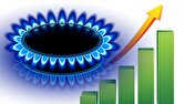 کاهش ۱۰ هزار میلیارد تومانی درآمدهای دولت به دلیل عدم تخصیص گاز به پتروشیمی