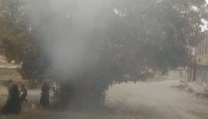 درخت چنار ۱۲۰ ساله لردگان در آتش شعله‌ور شد