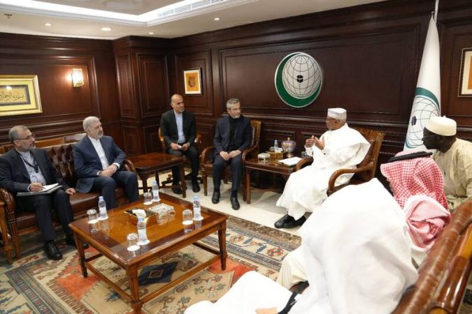 دیدار باقری با دبیرکل سازمان همکاری اسلامی