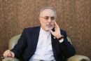 توضیحات جدید صالحی درباره بتن‌ریزی در راکتور اراک