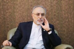توضیحات جدید صالحی درباره بتن‌ریزی در راکتور اراک