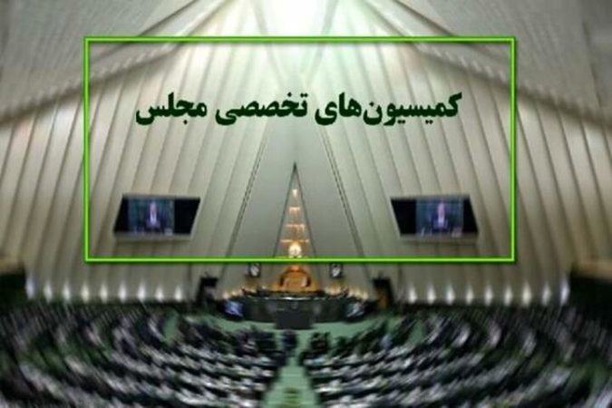 علت حضور ۷ وزیر در کمیسیونهای مجلس علت حضور ۷ وزیر در کمیسیونهای مجلس