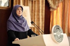 مهاجرانی: گزینه‌های وزارت اقتصاد در حال بررسی است
