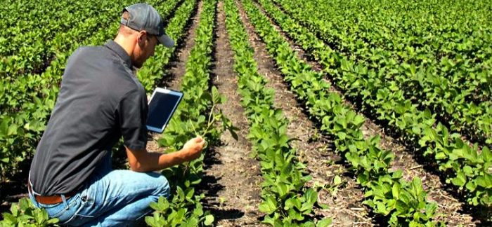 اهمیت آموزشهای کشاورزی در بهبود مهارتهای نیروی کار اهمیت آموزشهای کشاورزی در بهبود مهارتهای نیروی کار